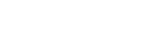 Scribe